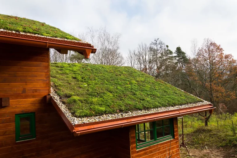 Eco Roof Service: Sustainable Roofing Solutions, Benefits, and Real-World Applications